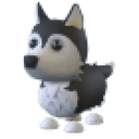 Husky