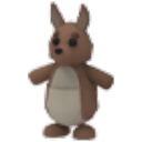 Kangaroo