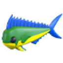 Mahi Mahi