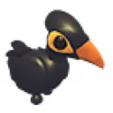 Maleo Bird