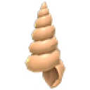 Musical Conch