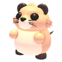 Muskrat