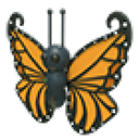 Orange Butterfly