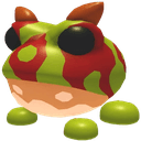 Ornate Horned Frog