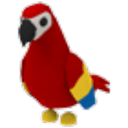 Parrot