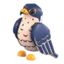 Peregrine Falcon