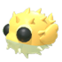 Puffer Fish