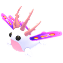 Sea Slug