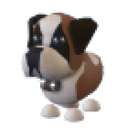 St Bernard