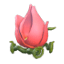 Tulip Stroller