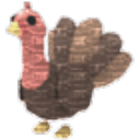 Turkey Plush