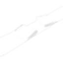 White Snowboard