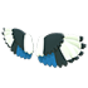 Magpie Wings