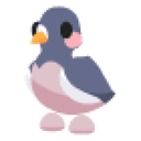 Wood Pigeon Sticker