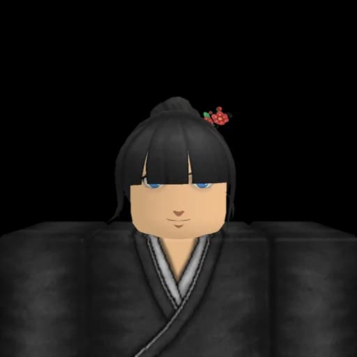 Mirror Ninja