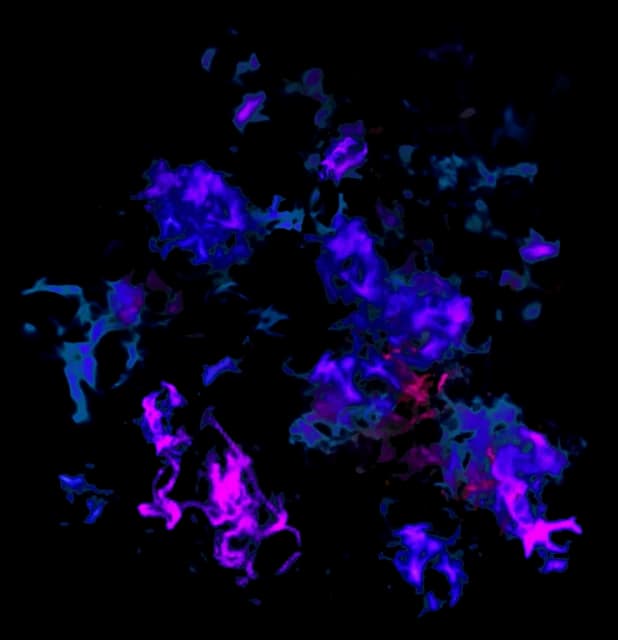 Abyssion