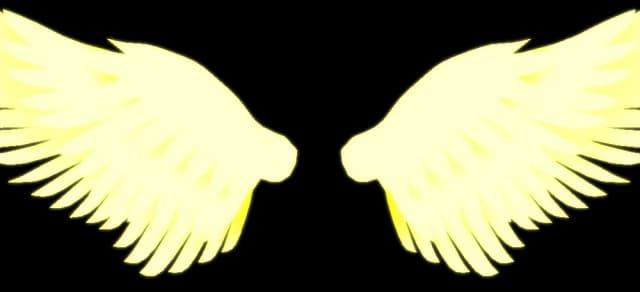 Angel's Wings