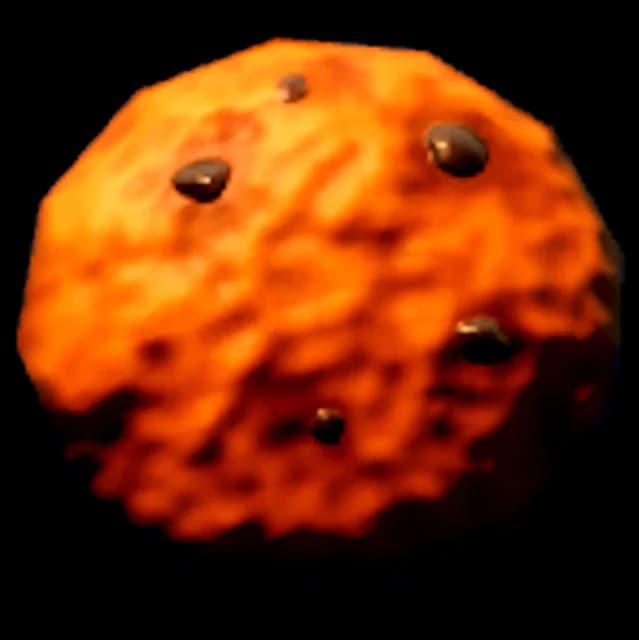 Cookie