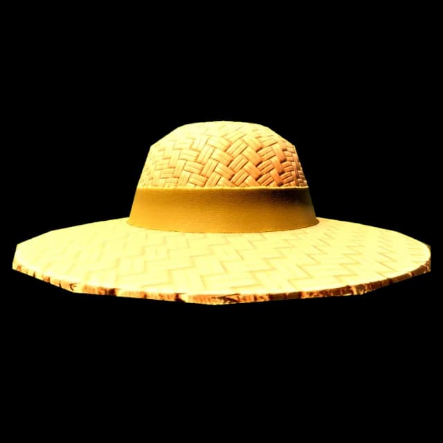 Farmer Hat