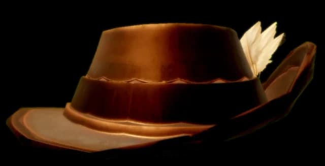 Pirate's Hat