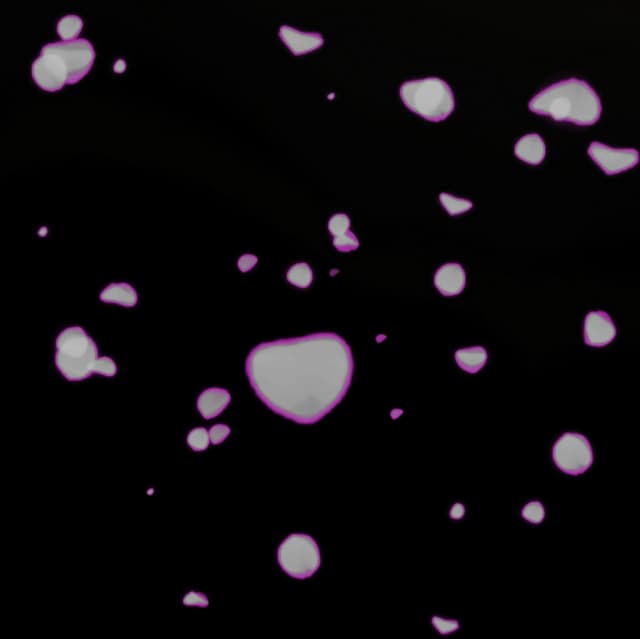 Rose Petal