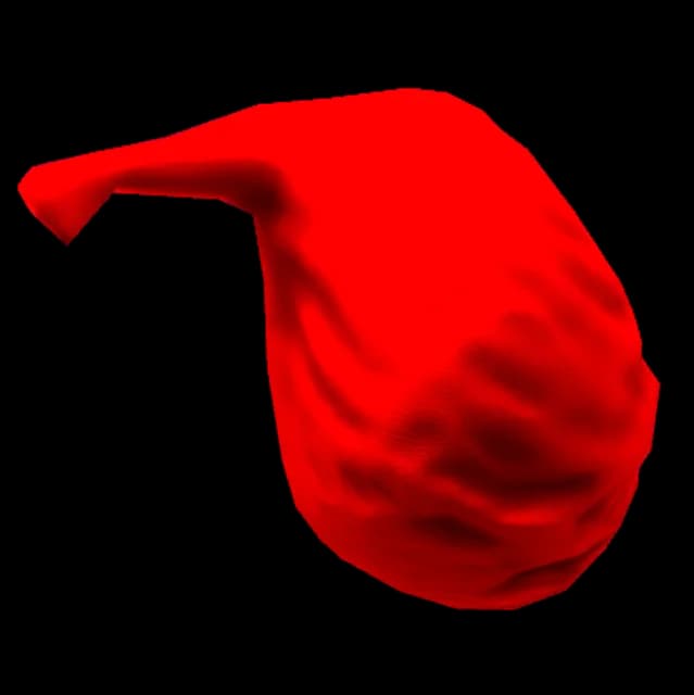 Santa Sack