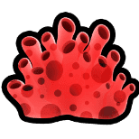 Red Coral