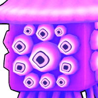 Medus