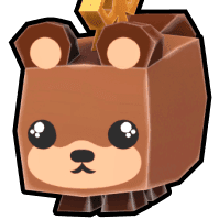 Raccon
