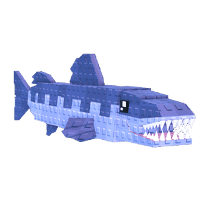 Barracuda