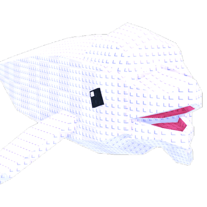 Beluga Whale