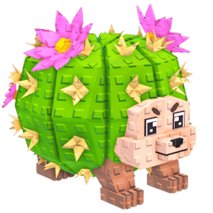 Cactus Hedgehog