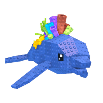 Coral Dolphin