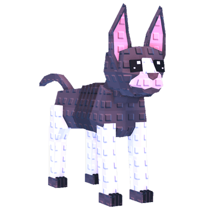 Cornish Rex