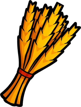 Hay