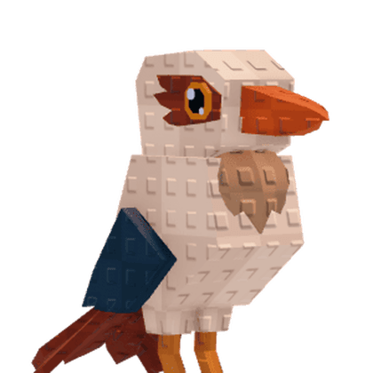 Kookaburra
