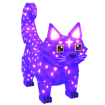 Nova Cat