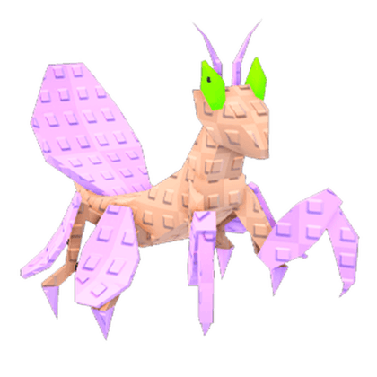 Orchid Mantis