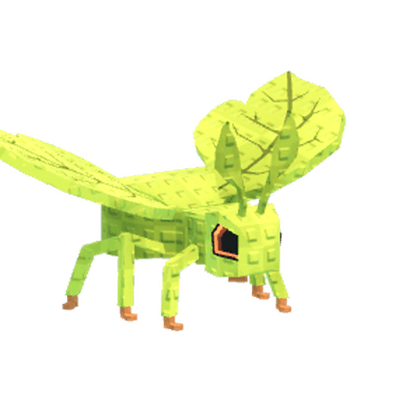 Phylliidae