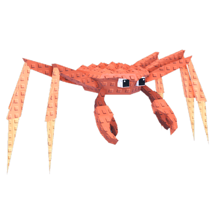 Spider Crab