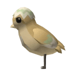 Chick