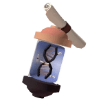 Session Gacha Token