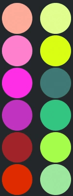 Fruit Salad Palette
