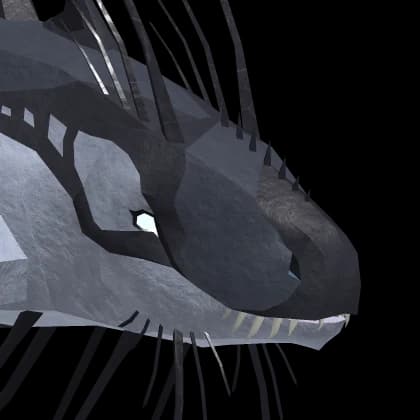 Magnacetus