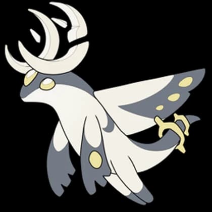 Aerodon
