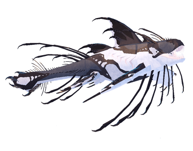 Magnacetus