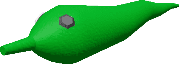 Green Wiggly Worm