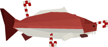 Candy Cane Carp