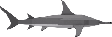 Great Hammerhead Shark