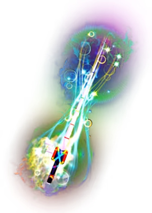 Magician's Cluster